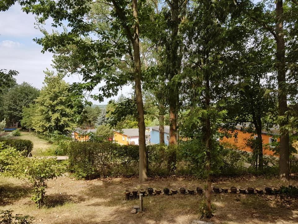 ורדר Bungalows Zur Alten Faehre מראה חיצוני תמונה
